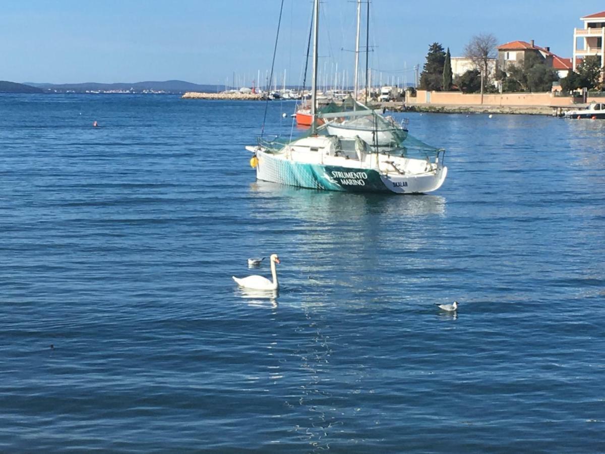 Croatian Home Apartments Zadar Eksteriør bilde